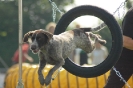  Agilityturnier am 01.07.2006 _385