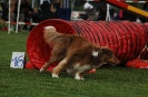  Agilityturnier am 01.07.2006 _392