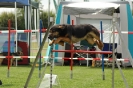  Agilityturnier am 01.07.2006 _425