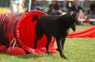  Agilityturnier am 01.07.2006 _51