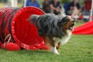  Agilityturnier am 01.07.2006 _93
