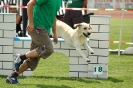  Agilityturnier am 01.07.2006 _98