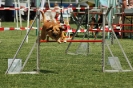 Agilityturnier am 01.07.2006 _427