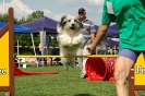 Agilityturnier am 01.07.2006 _497