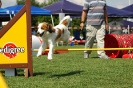 Agilityturnier am 01.07.2006 _510