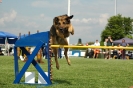 Agilityturnier am 01.07.2006 _577