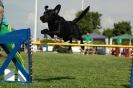 Agilityturnier am 01.07.2006 _583