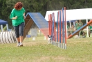 Agilityturnier am 01.07.2007  _101
