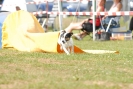 Agilityturnier am 01.07.2007  _102