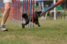 Agilityturnier am 01.07.2007  _104