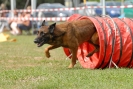 Agilityturnier am 01.07.2007  _220