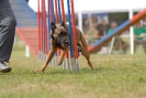 Agilityturnier am 01.07.2007  _221
