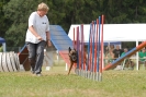 Agilityturnier am 01.07.2007  _222