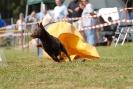 Agilityturnier am 01.07.2007  _313