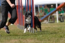 Agilityturnier am 01.07.2007  _316
