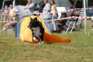 Agilityturnier am 01.07.2007  _318