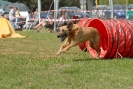 Agilityturnier am 01.07.2007  _320