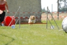 Agilityturnier am 01.07.2007  _433