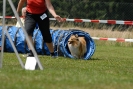 Agilityturnier am 01.07.2007  _434