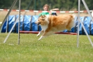 Agilityturnier am 01.07.2007  _435