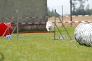 Agilityturnier am 01.07.2007  _437