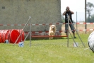Agilityturnier am 01.07.2007  _449