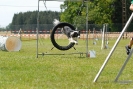 Agilityturnier am 01.07.2007  _452