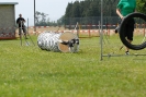 Agilityturnier am 01.07.2007  _453