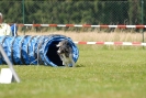 Agilityturnier am 01.07.2007  _455