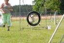 Agilityturnier am 01.07.2007  _456