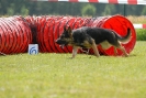 Agilityturnier am 01.07.2007  _490