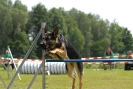 Agilityturnier am 01.07.2007  _491