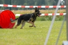 Agilityturnier am 01.07.2007  _492