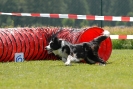 Agilityturnier am 01.07.2007  _494