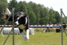Agilityturnier am 01.07.2007  _496