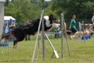 Agilityturnier am 01.07.2007  _561