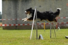 Agilityturnier am 01.07.2007  _563