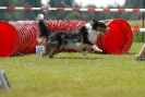 Agilityturnier am 01.07.2007  _564