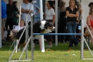 Agilityturnier am 01.07.2007  _566