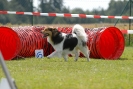 Agilityturnier am 01.07.2007  _568