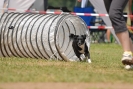 Agilityturnier am 01.07.2007  _730