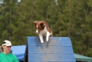 Agilityturnier am 01.07.2007  _894