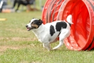 Agilityturnier am 01.07.2007  _98
