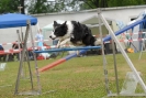 Agilityturnier am 30.06.2007 _101