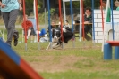 Agilityturnier am 30.06.2007 
