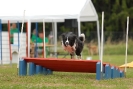 Agilityturnier am 30.06.2007 _103