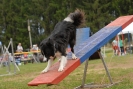 Agilityturnier am 30.06.2007 _104
