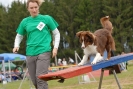 Agilityturnier am 30.06.2007 _113