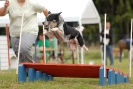 Agilityturnier am 30.06.2007 _117