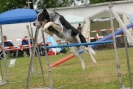 Agilityturnier am 30.06.2007 _119